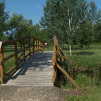 Népszerű a horgásztó